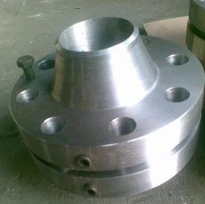 Flange Orifice SS316L